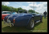 AC Cobra Pilgrim-4